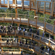 Illustration for article titled Germanys new 18-story Tree Top Walk is shaped like a giant egg